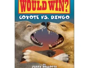 내돈내산 whowouldwin 품질 가격 최고 제품