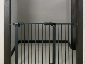 요즘 핫한 강아지안전문 가성비 좋은 제품