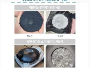 요즘 핫한 델핀홈케어 베스트 추천 제품