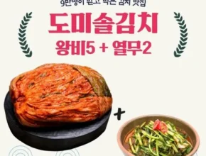 핫딜 도미솔 김치 4종 가격 비교