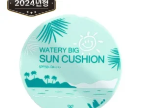 요즘 뜨는 리에노선쿠션2024 가격 비교