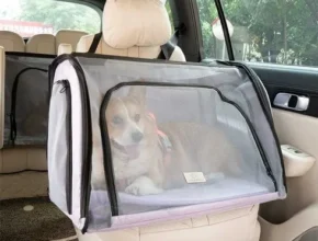 요즘 핫한 멕시코시토들러 베스트셀러