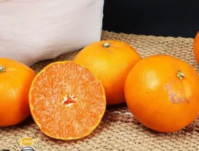 특가 못난이천혜향 가성비 좋은 제품