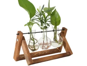 특가 미드센 수경식물 3종 품질 가격 최고 제품