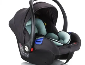 요즘 뜨는 바구니카시트 가성비 좋은 제품