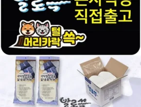 내돈내산 발로쓱 실내화 2족청소포 200장 추천