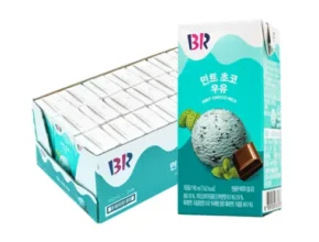 내돈내산 베스킨라빈스 TOP 제품