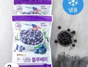 내돈내산 블루베리 베스트 추천 제품