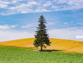 인플추천 삿포로여행 TOP 제품