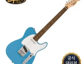 요즘 뜨는 스콰이어텔레캐스터 최고 인기 제품