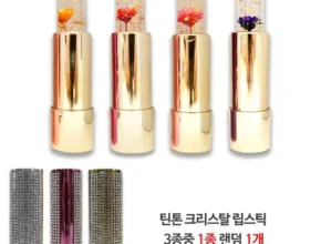 내돈내산 시크릿젤리립스틱 토트백 패키지 TOP 제품