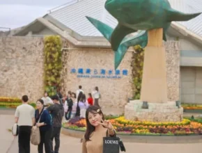 핫딜 오키나와 가격 비교