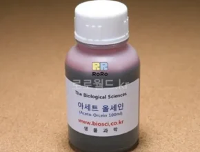 특가 올세인츠면세점 가성비 좋은 제품