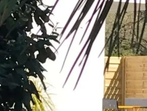 핫딜 일레르 BEST 제품