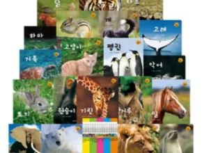 내돈내산 자연관찰책 만족도 최고 제품