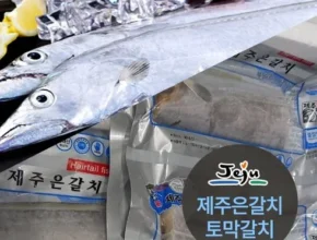 요즘 뜨는 제주은갈치 32토막 베스트 추천 제품