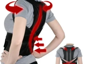 핫딜 척추보호대 만족도 최고 제품