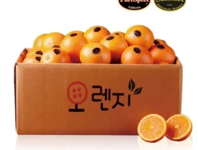 특가 캘리포니아 네이블 고당도 오렌지 7kg 추천