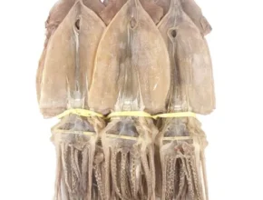 요즘 핫한 특대 20미 만족도 최고 제품