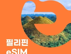 요즘 핫한 필리핀esim 베스트 추천 제품