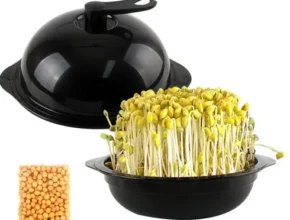 내돈내산 대구키즈클래스 가격 비교