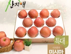 특가 산지애 알뜰사과 6kg사과즙 6팩  가격 비교