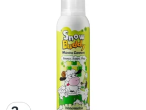 내돈내산 스노우버디 가격 비교